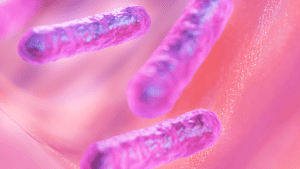 best probiotic for bloating
