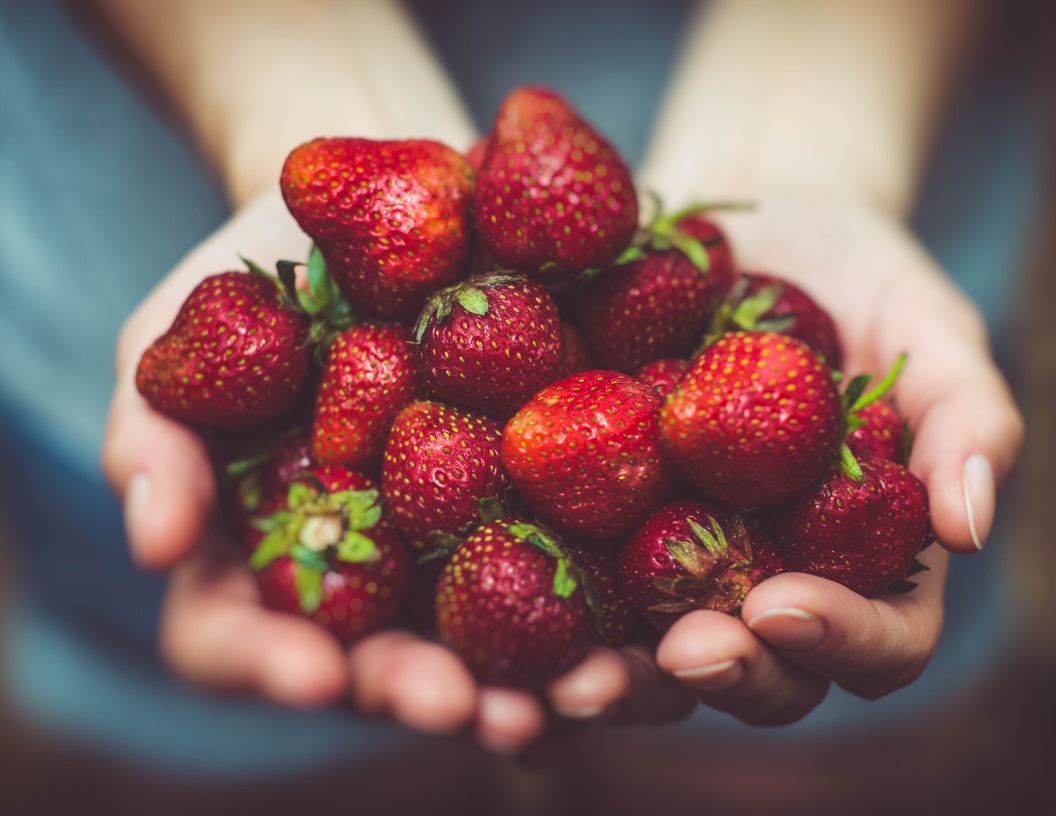 Top 12 Foods High In Antioxidants