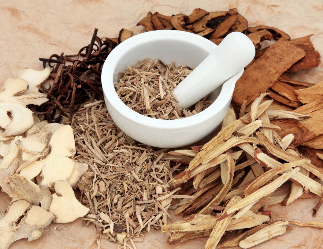 Amazing Benefits of Panax Ginseng
