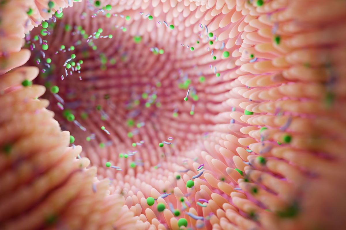 Probiotics for Candida